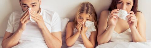 Indoor air quality solutions in Garland, TX